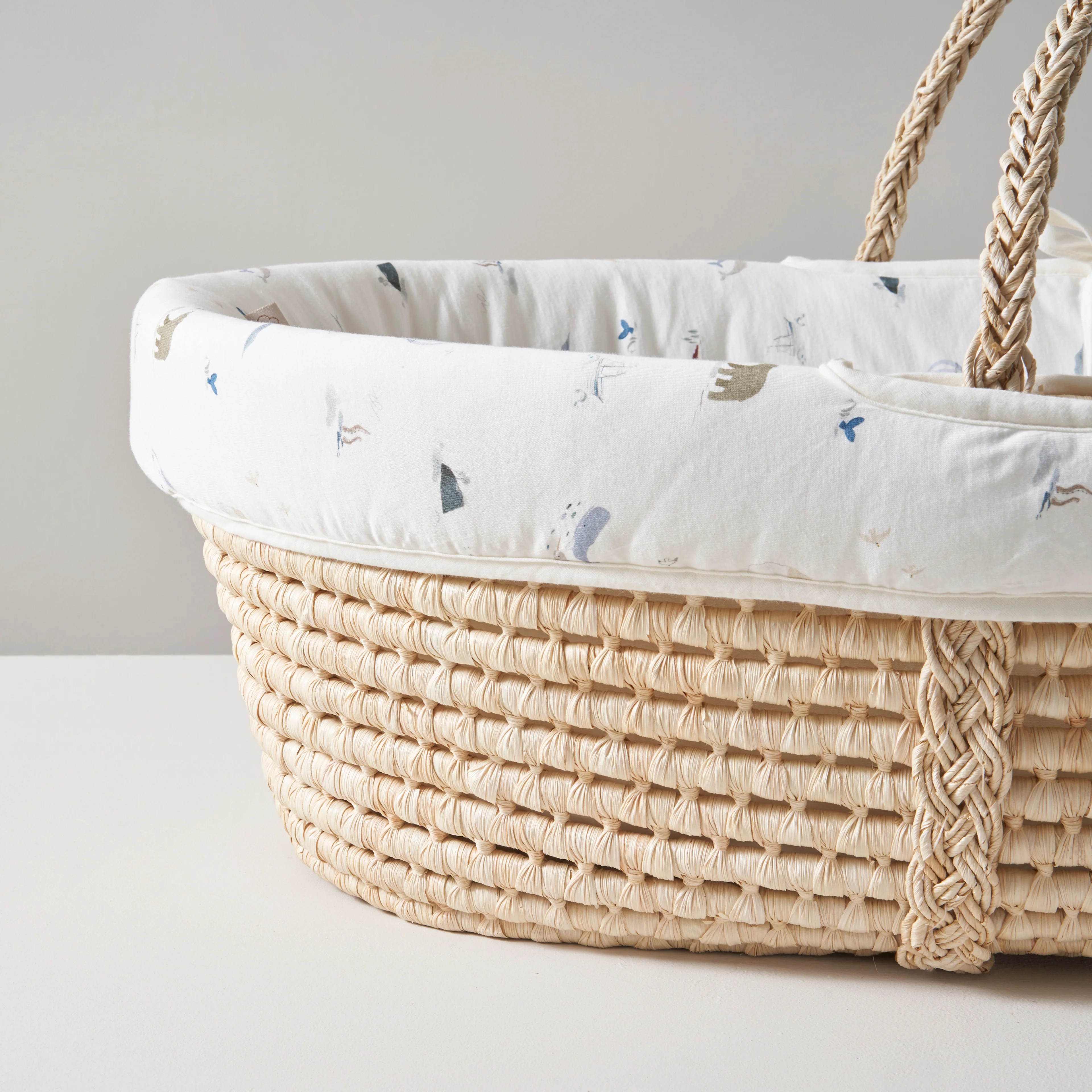 Moses Basket Adventure - Image 6
